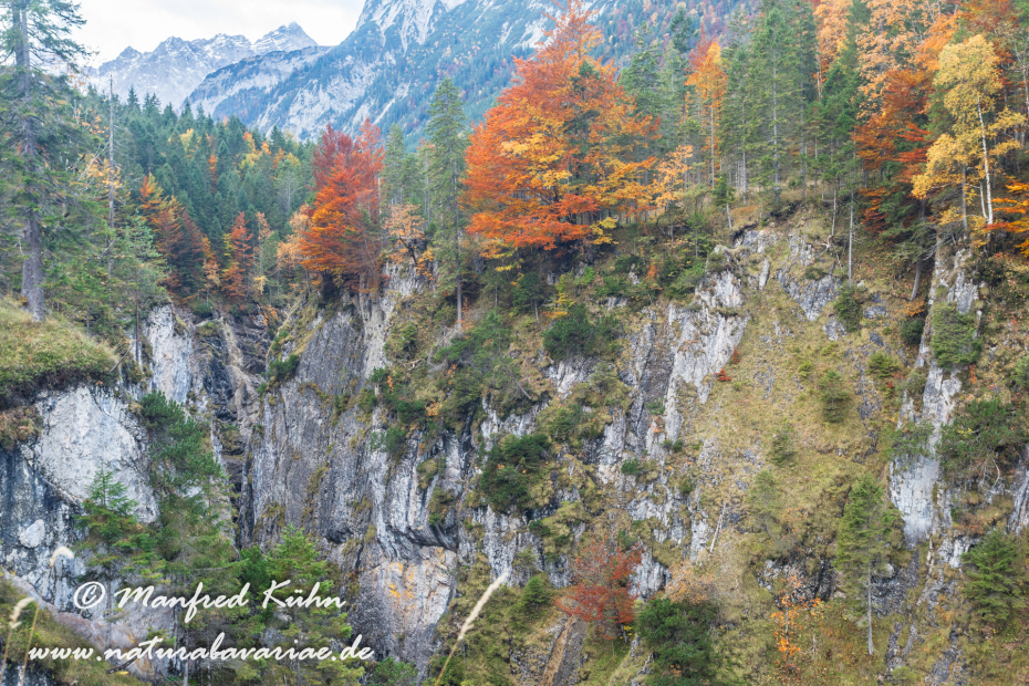 Kleiner Ahornboden (Oesterreich)_0003
