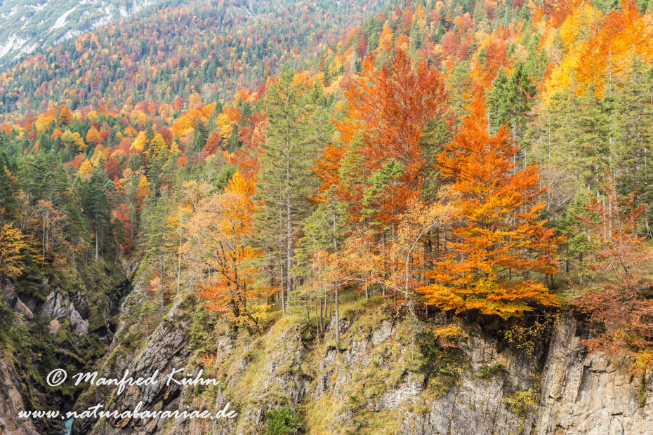 Kleiner Ahornboden (Oesterreich)_0015