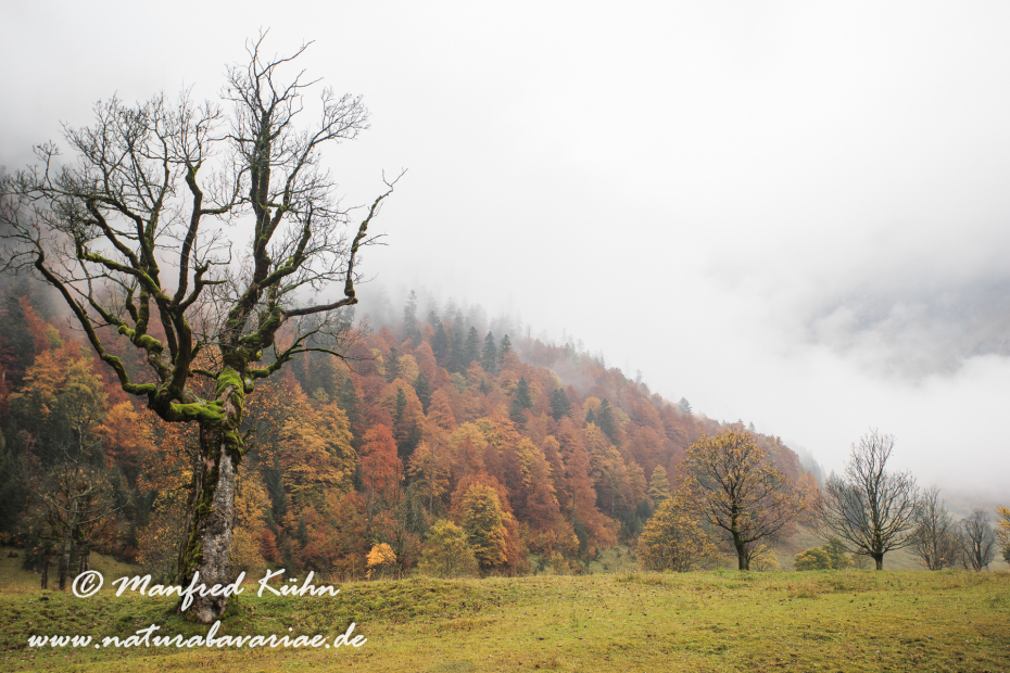 Großer Ahornboden (Österreich)_0008