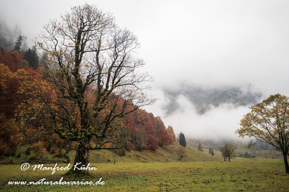 Großer Ahornboden (Österreich)_0012