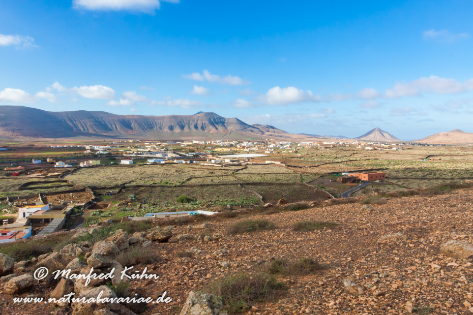Fuerteventura (Spanien)_0003