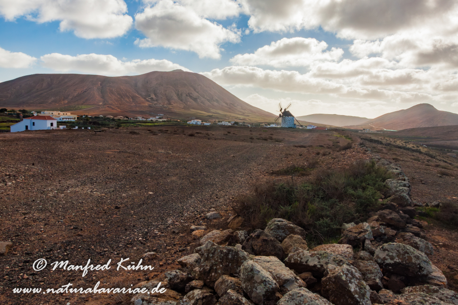 Fuerteventura (Spanien)_0004