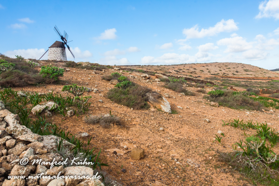 Fuerteventura (Spanien)_0005