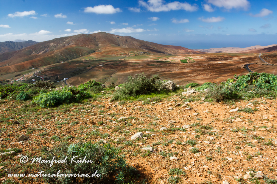 Fuerteventura (Spanien)_0008