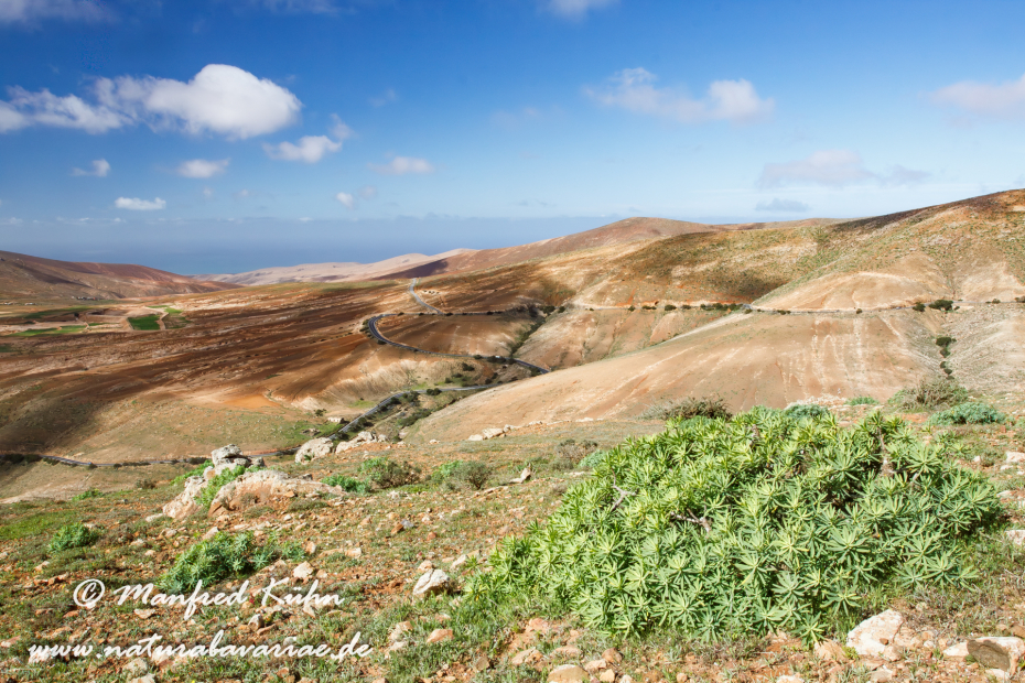 Fuerteventura (Spanien)_0009
