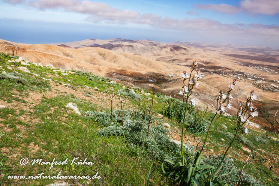 Fuerteventura (Spanien)_0012