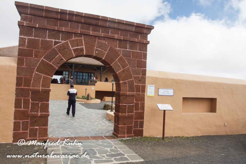 Fuerteventura (Spanien)_0013