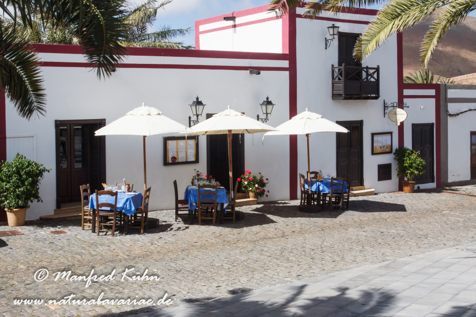 Fuerteventura (Spanien)_0017