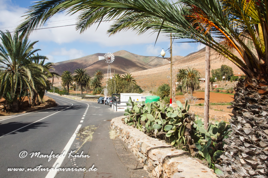Fuerteventura (Spanien)_0018