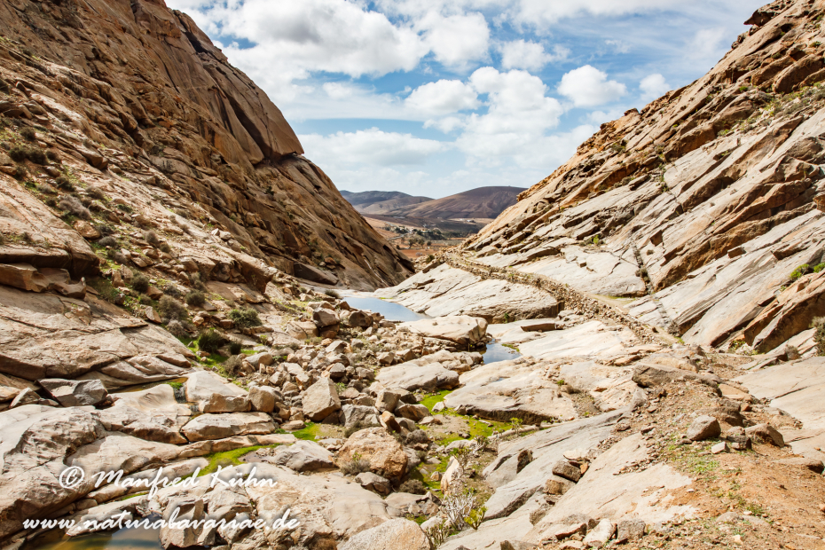 Fuerteventura (Spanien)_0023