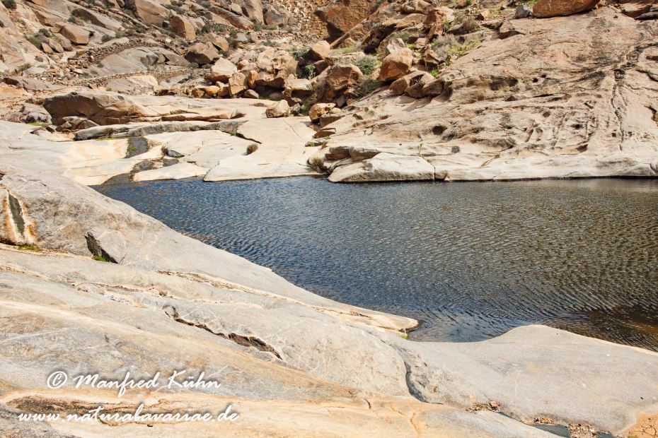 Fuerteventura (Spanien)_0027
