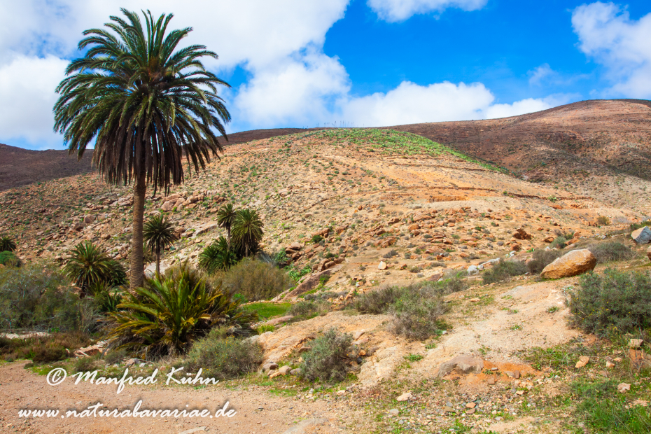 Fuerteventura (Spanien)_0034