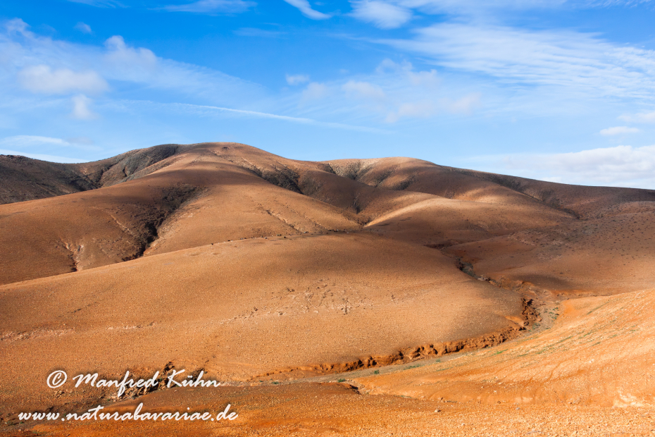 Fuerteventura (Spanien)_0041