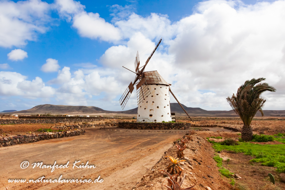 Fuerteventura (Spanien)_0042