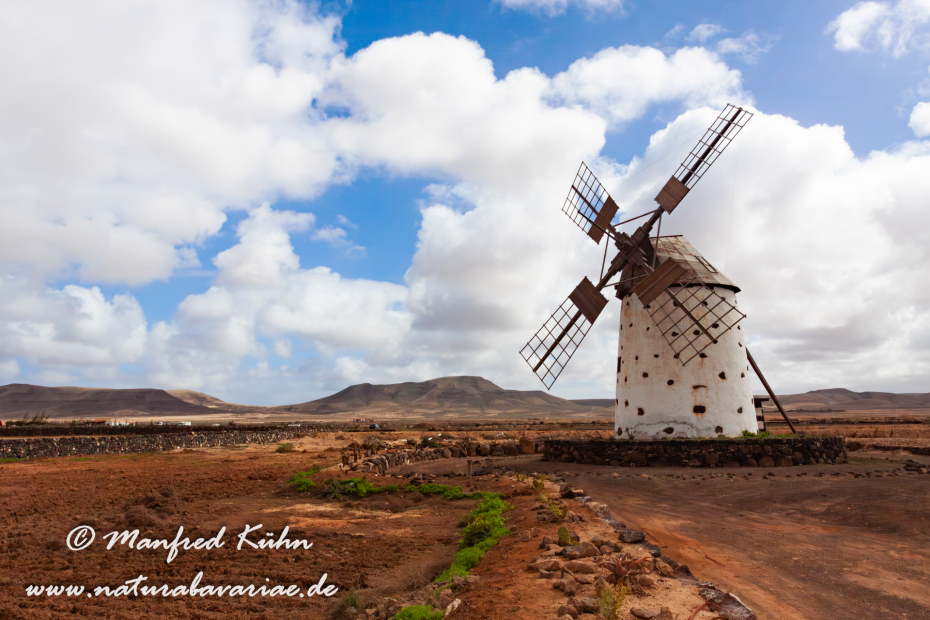 Fuerteventura (Spanien)_0044