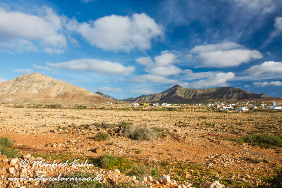 Fuerteventura (Spanien)_0045