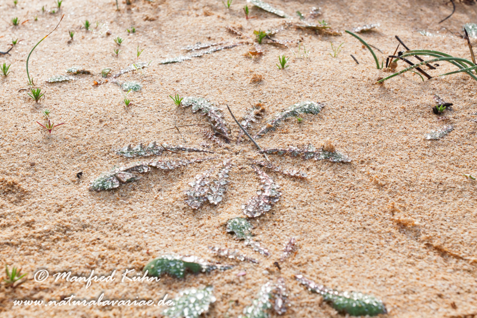 Fuerteventura (Spanien)_0063