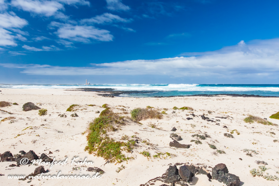 Fuerteventura (Spanien)_0077