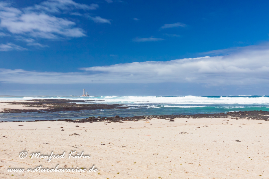 Fuerteventura (Spanien)_0078
