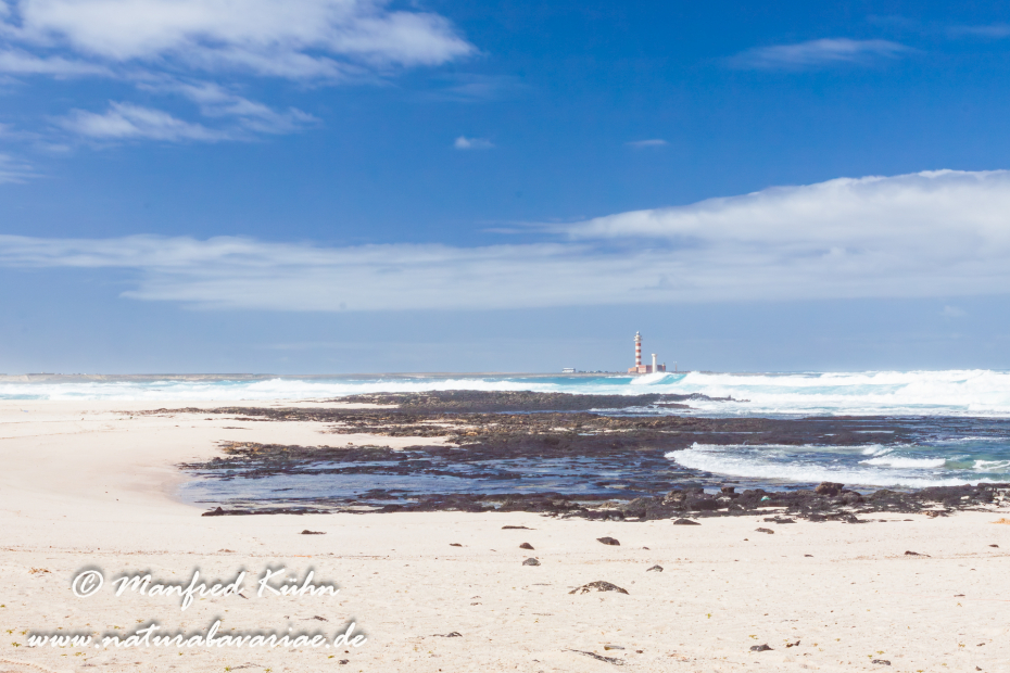 Fuerteventura (Spanien)_0079