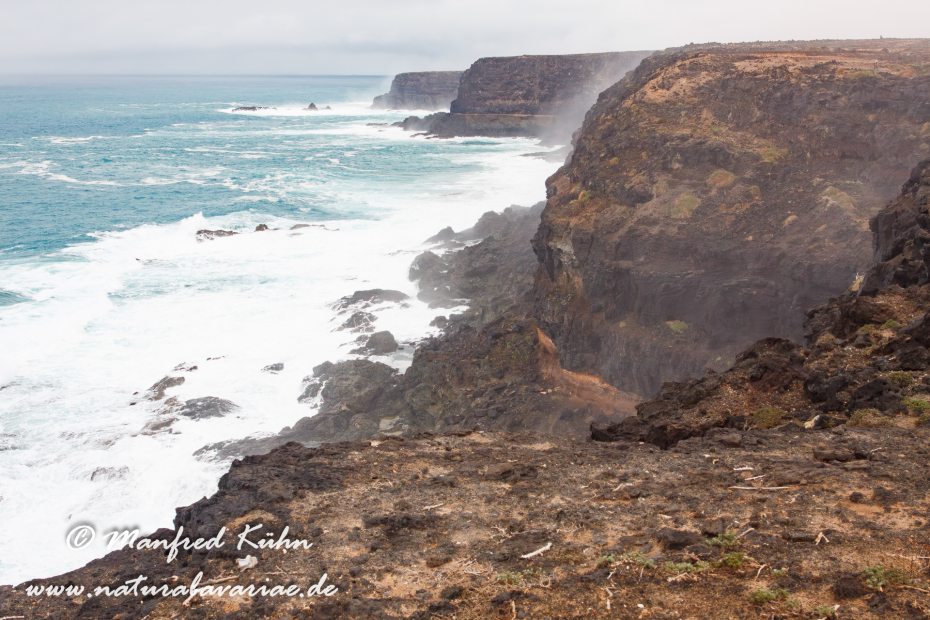 Fuerteventura (Spanien)_0082