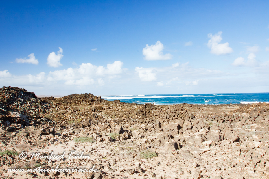 Fuerteventura (Spanien)_0083