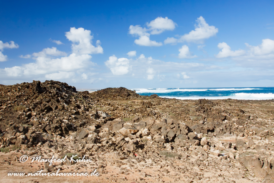 Fuerteventura (Spanien)_0086