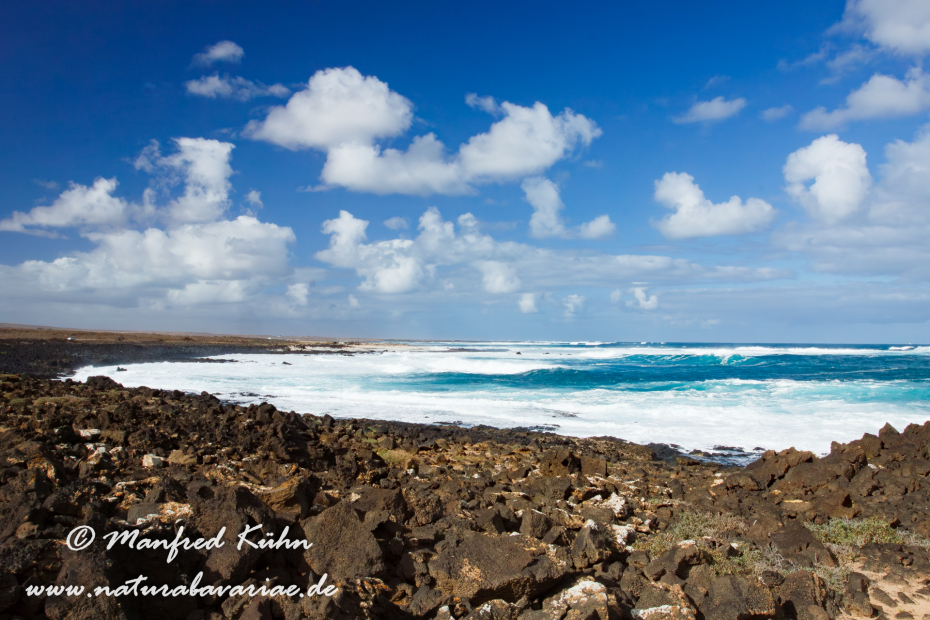 Fuerteventura (Spanien)_0087