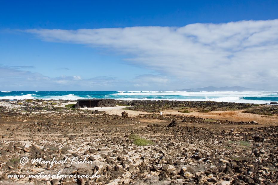 Fuerteventura (Spanien)_0090