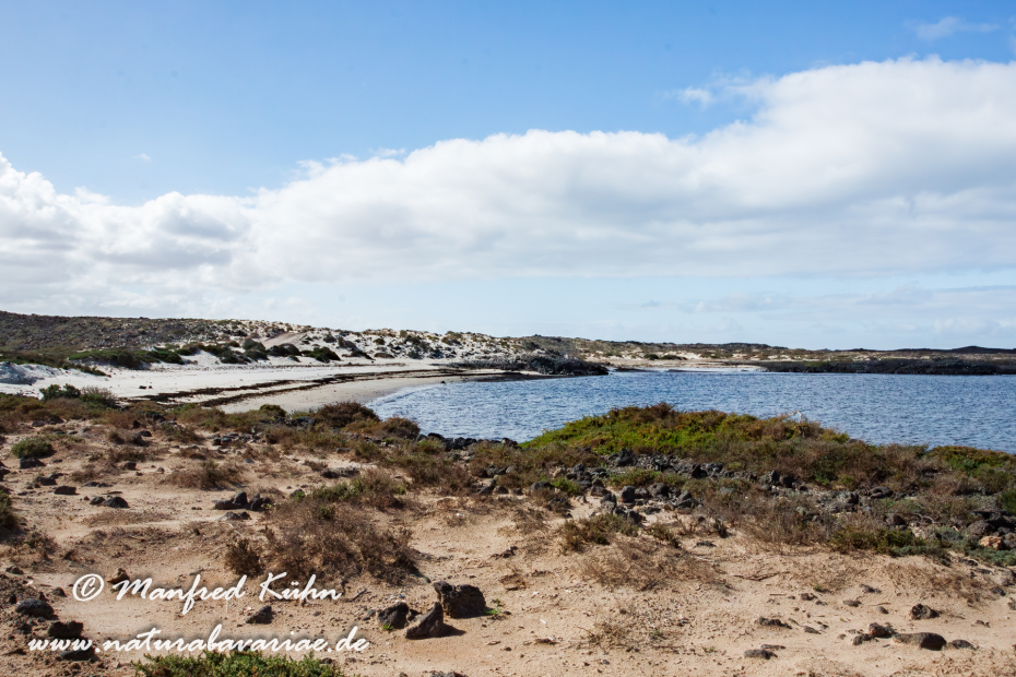 Fuerteventura (Spanien)_0091