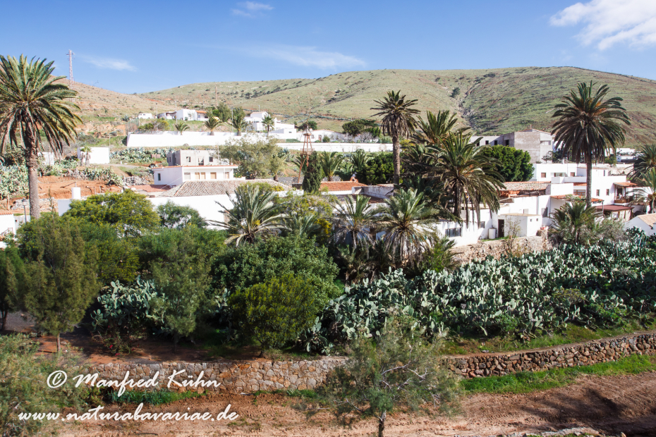 Fuerteventura (Spanien)_0102