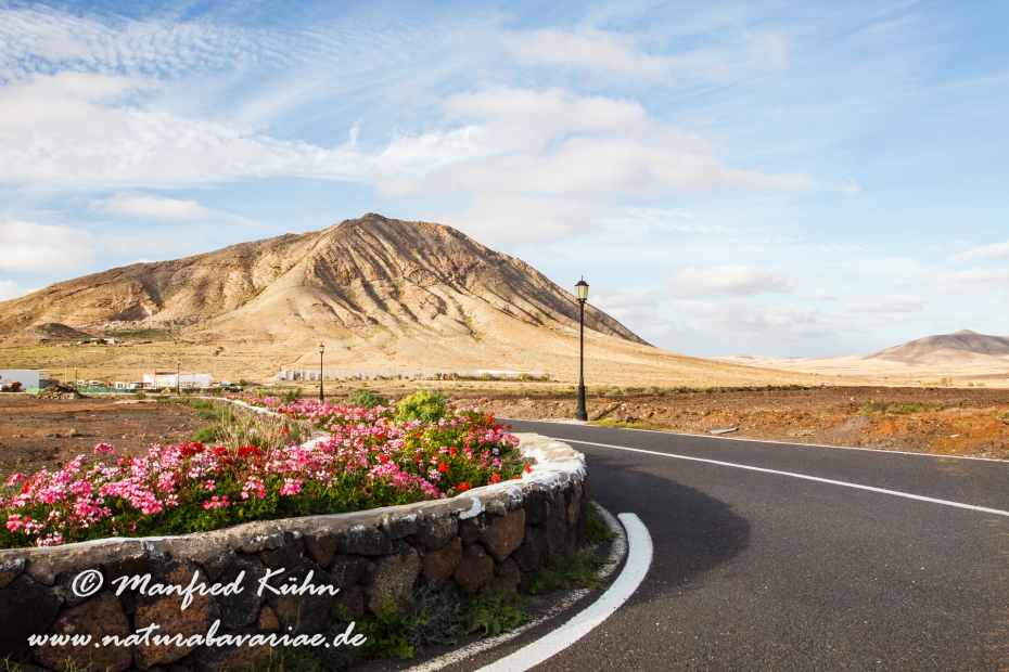 Fuerteventura (Spanien)_0105