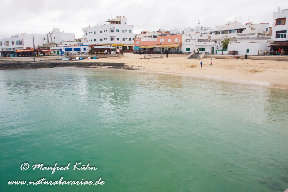 Fuerteventura (Spanien)_0113