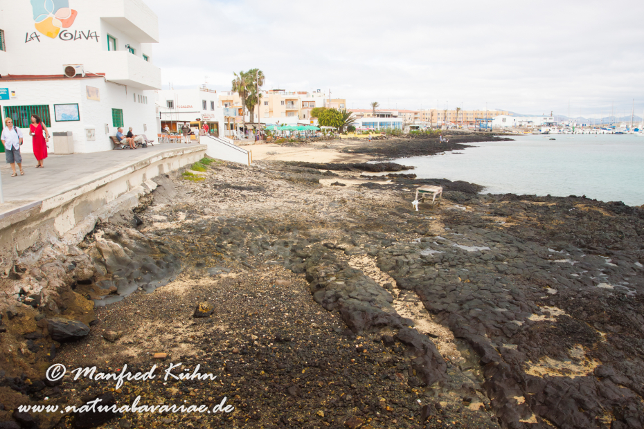Fuerteventura (Spanien)_0114