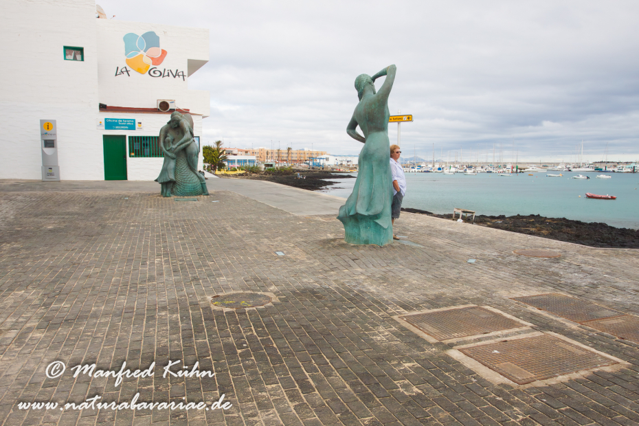 Fuerteventura (Spanien)_0115