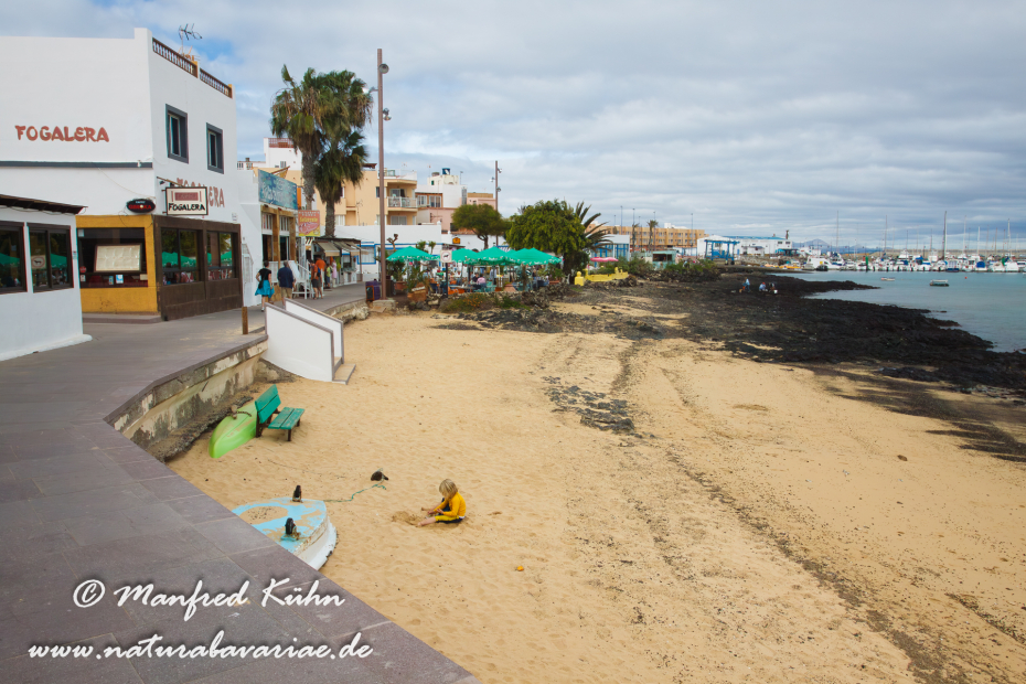 Fuerteventura (Spanien)_0118