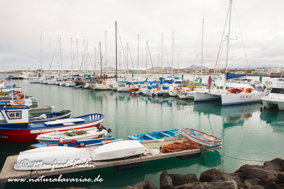 Fuerteventura (Spanien)_0121