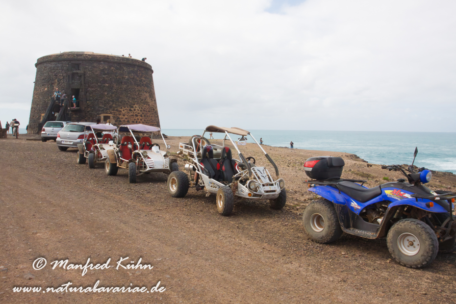 Fuerteventura (Spanien)_0129