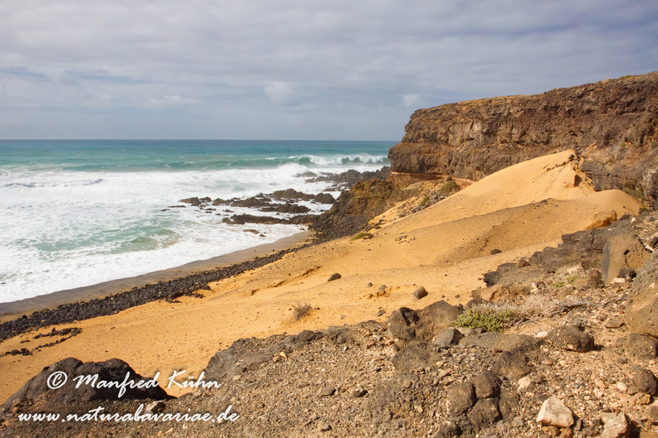 Fuerteventura (Spanien)_0132