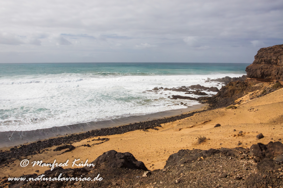 Fuerteventura (Spanien)_0133