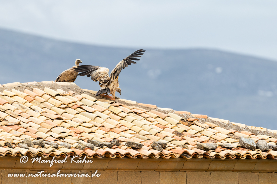 Sierra de Guara (Spanien)_0081