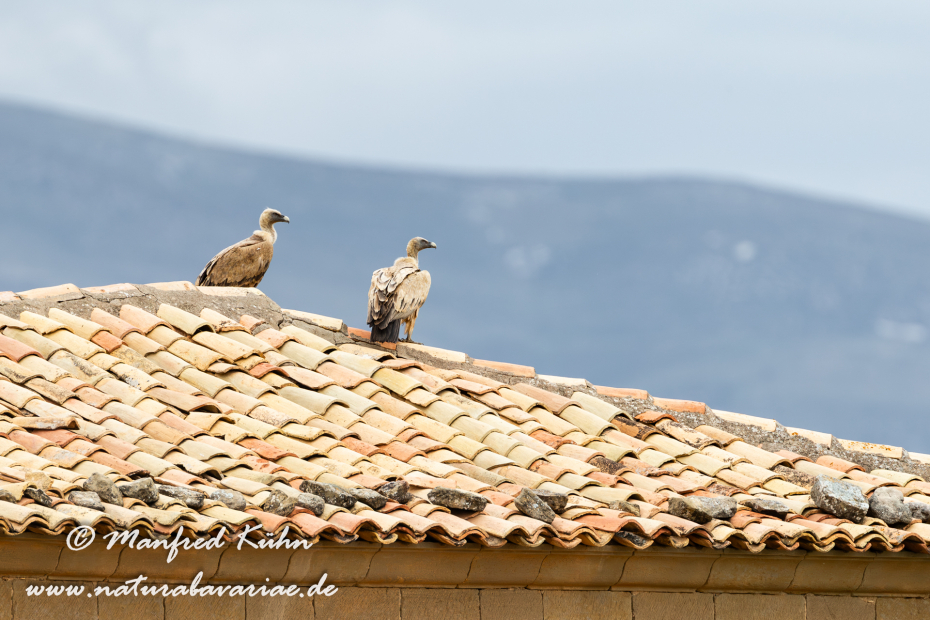 Sierra de Guara (Spanien)_0082
