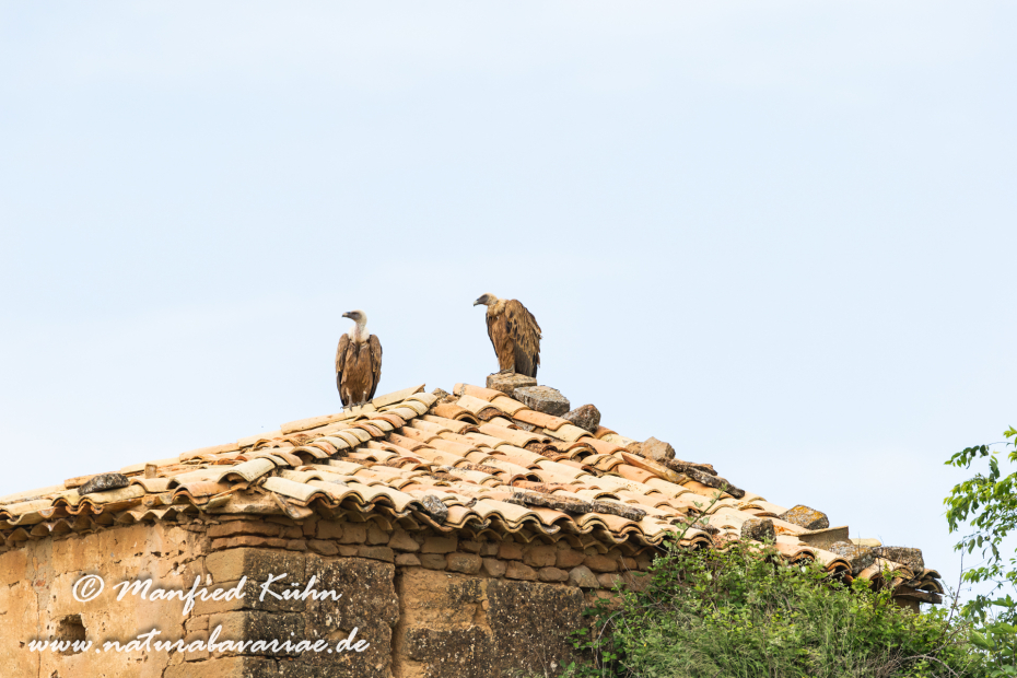 Sierra de Guara (Spanien)_0083