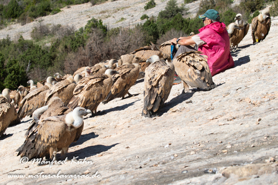Sierra de Guara (Spanien)_0087