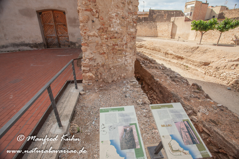 Ebrotal (Spanien)_0010