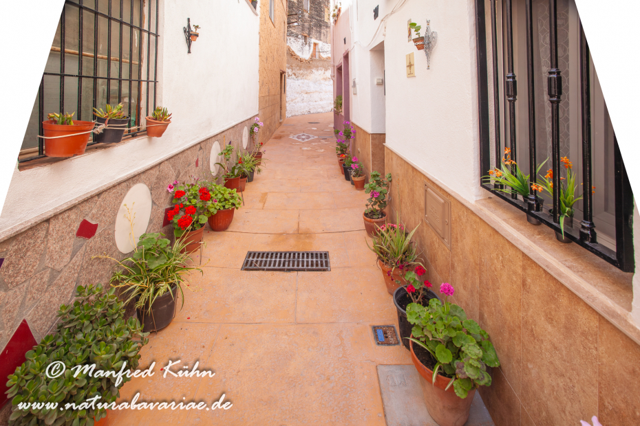 Ebrotal (Spanien)_0055