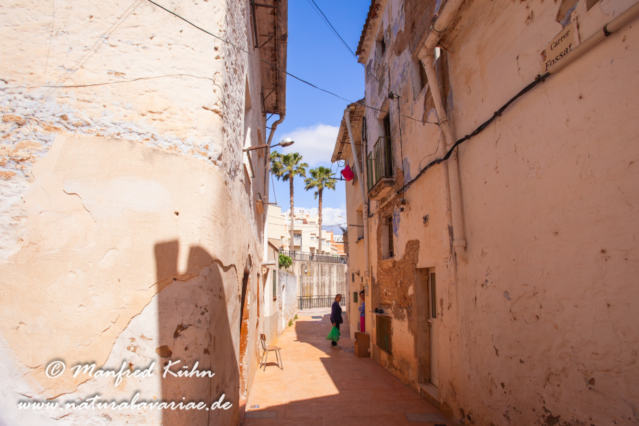 Ebrotal (Spanien)_0057