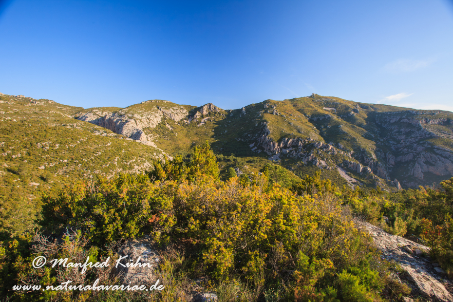 Ebrotal (Spanien)_0071
