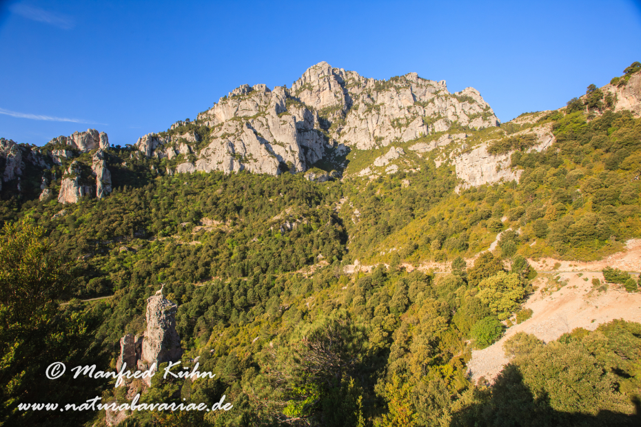 Ebrotal (Spanien)_0072