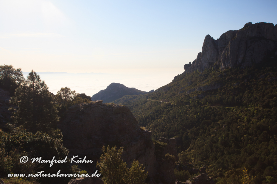 Ebrotal (Spanien)_0073